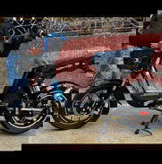 BICIMOTOS GRILLO TOPMAQ HALCON - Img 49466229