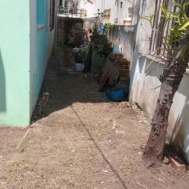 Servicio de jardinería 👩🏼🌾 - Img 127441455
