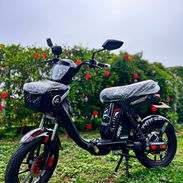 Bicimotos AVA, MZ COCUYO, MISHOZUKI GRILLO PRO MAX 14 GENERACIÓN - Img 56459341
