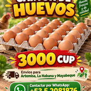 Huevos por cantidad a 3000 CUP - Img 58136878