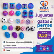 Juguetes para gatos y perros pequeños - Img 55886537