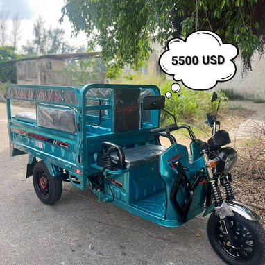 ‼️EXCELENTES TRICICLOS EN VENTA‼️ - Img 123175784