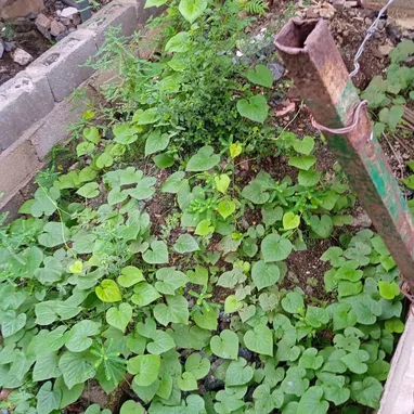 Venta de casa Holguin - 5/10