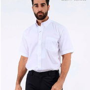 Camisas mangas cortas de hombre blancas y negras Giorgio Ferrara - Img 48944476