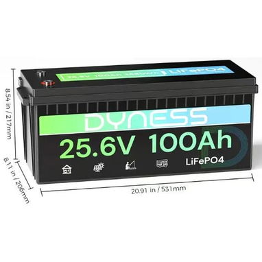 Batería Dyness LiFePO4 24V 100Ah 2560Wh 2,56kWh - 2/2