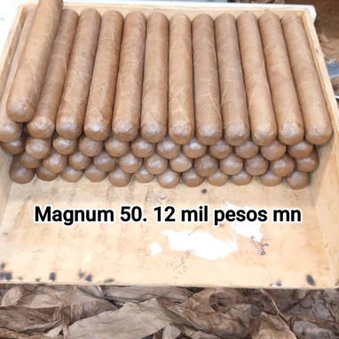 Mazo de 25 Tabacos Originales 12 mil - Img 125373109