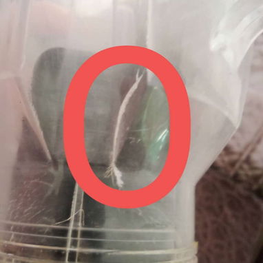 Vendo Batidora con el vaso Roto en la foto esta el Detalle - Img 126177940