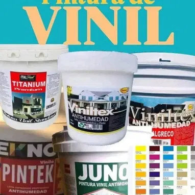 PINTURA VINIL - Img 121970566