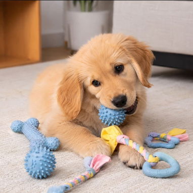Set de 6 juguetes para cachorros, para mordida y dentición. - 2/2