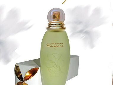 Perfume Mariposa Original - Img main-image