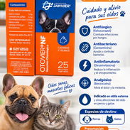 Otovier, colirio otico para mascotas - Img 58219579