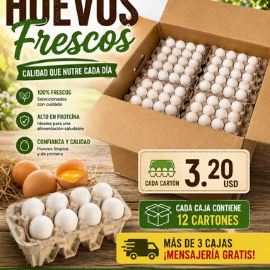 Cajas de huevos - Img 125269521