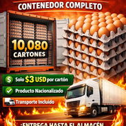 Contenedor de huevos - Img 55877111