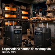 Combo 2x Delta Pro 220V: la panadería hornea de madrugada - 4,300 USD - Img 57857931