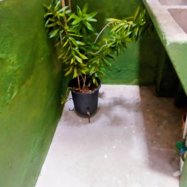 🌿 Propiedad Horizontal de 3 Habitaciones y Garaje en Playa REF 1446 - Img 110382874
