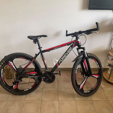 Bicicleta de uso. Lisa - 2/2