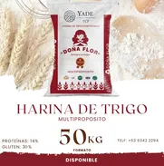 Harina de Trigo Fortificada Doña Flor - Img 50144298