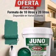 PINTURA VINIL PARA INTERIOR Y EXTERIOR 💒 - Img 57524403