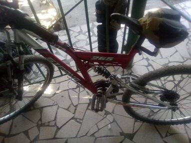 Bicicleta - Img 63920780