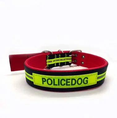 COLLARES +CORREAS + PECHERAS PARA GATOS Y PERROS - Img 78996823