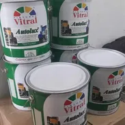 PINTURA DE ACEITE Y ESMALTE AUTOLUX - Img 55699035