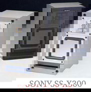 Bafles Sony Modelo SS-X300 58278775 - Img 49087067
