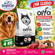 Pienso importado Para Perros Adulto. Bolsa 4 kg - Img 57751245