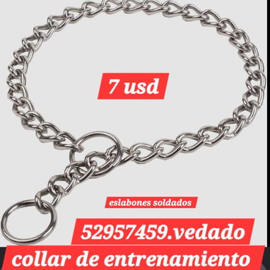 52957459 Pechera con correa perros grandes...20usd Collar de entrenamiento7 usd CORREA --2800 CADENA DE ACERO-----8 usd - Img 123979788