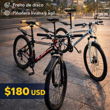 Bicicleta de paseo 26 - 2/3