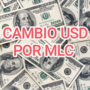 Cambio USD por MLC al Cambio por el Toqué - Img 45463288