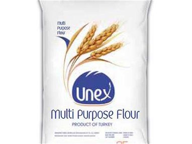 Se vende contenedor de harina de trigo (multiproposito) con 1000 sacos de 25kg - Img main-image