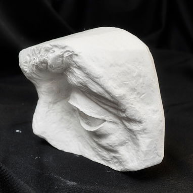 Cráneo de yeso para estudio de anatomía - 4/5
