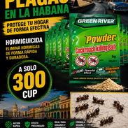 Hormiguicida paquetes de veneno para ormigas a 300 cup c/u - Img 56908516