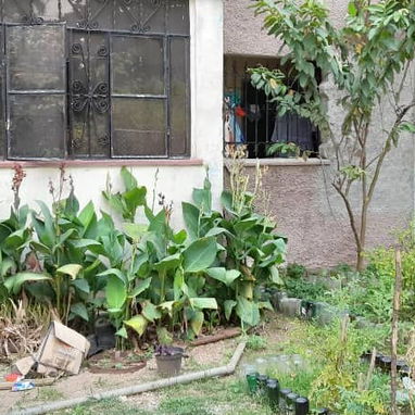 *108🏡Apto en venta en planta baja,de un Edificio de 20 aptos en el Casino Deportivo del año 1976*  😌*Muy amplio y fres - Img 122007948