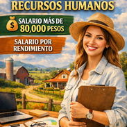 Propuesta de empleo - Img 57989421