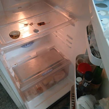 Refrigerador LG de uso - 2/3