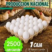 🚚 MIPYME RODSAIZ SRL📦 ✅️ Huevos 🍳🐣 de producción NACIONAL 🏷 - Img 55812146