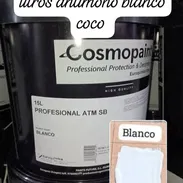 Pintura vinil euroquimica 15 litros antimoho ATM blanco coco importadas de España en nuestro almacén en playa - Img 55650273