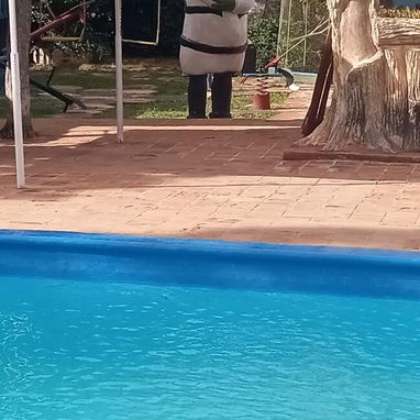 🏖️PISCINA LELELAS – EL LUGAR PERFECTO PARA TU EVENTO/ Alquiler Piscina/ Pasadía Habana/ Renta Piscina/ Alquiler Casa🏖️ - Img 124246414