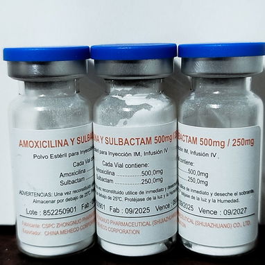 Rosefin , Amoxicilina y subaltam , Ciprofloxacino , Metronidazol - Img 126359048