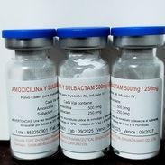 Amoxicilina/Subactam , Meropenem , Rosefin , Sulfaprin , Gentamicina, Ciprofloxacino, Cefuroxima , Ácido tranexamico - Img 57545299