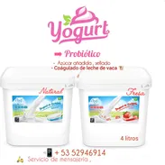 Yogurt Probiótico cubeta de 4lts, sellado. Carne de cerdo importado. Etc. - Img 56390837