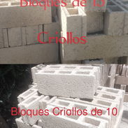 Bloques Criollos de 10 y de 15 - Img 56893783