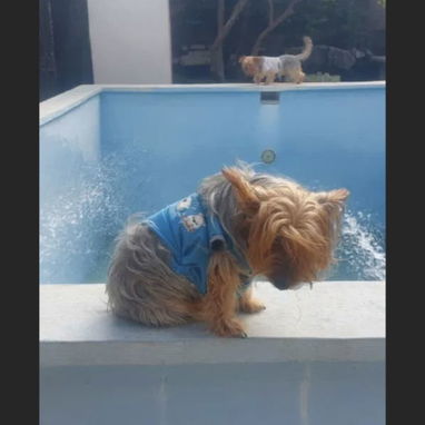 Vendo casa biplanta independiente cn garage patio y piscina.lawton - Img 121330583