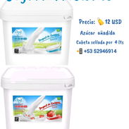Yogurt probiótico , cubeta de 4 LTS sellado. - Img 57750899