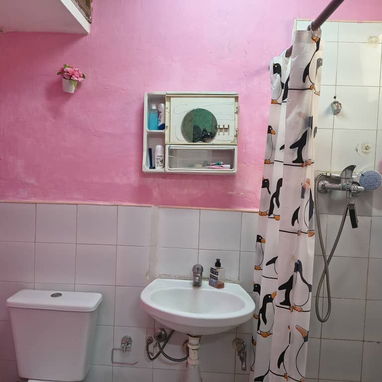 Venta de casa en Centro Habana con Respaldo eléctrico - Img 125694952