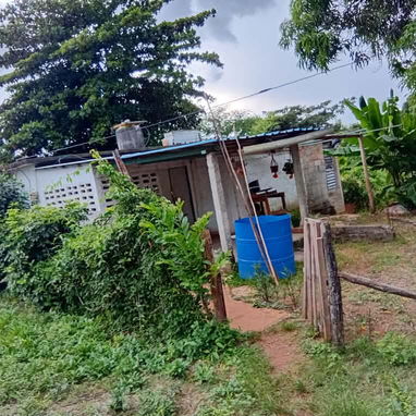 Ventas de casa en viñales - 3/3