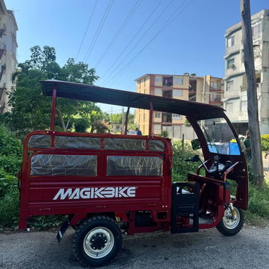 TRICICLO ELÉCTRICO MAGIKBIKE CON CABINA - 3/3