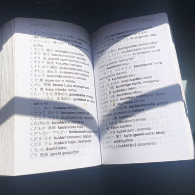 DICCIONARIO JAPONES - Img 119630378