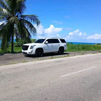 Renta de autos - 8/8